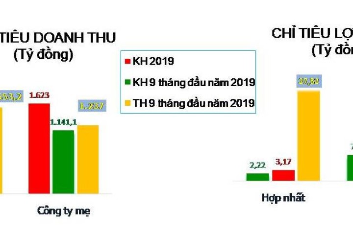 Kết quả hoạt động SXKD 9 tháng đầu năm 2019 của DMC